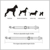 Adjustable Pet Car Safety Belt TrendyApparel